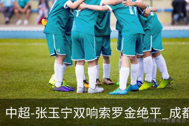 中超-张玉宁双响索罗金绝平 成都连扳两球2-2国安4连平