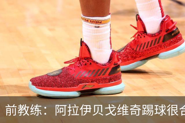 前教练：阿拉伊贝戈维奇踢球很合理，求胜欲也强无法接受失败