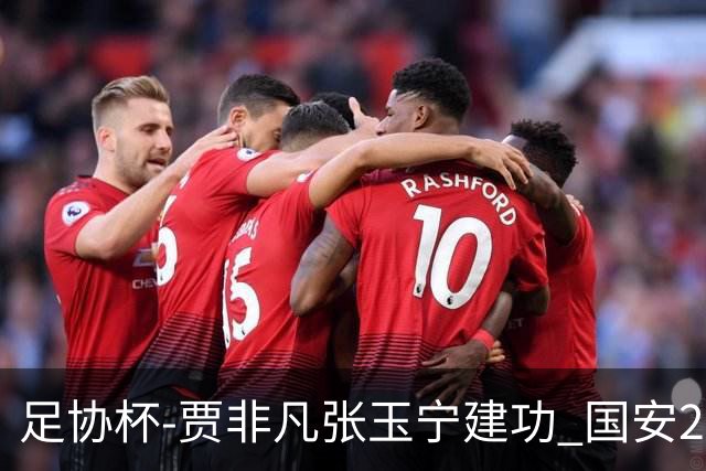 足协杯-贾非凡张玉宁建功 国安2-1大连可为晋级8强