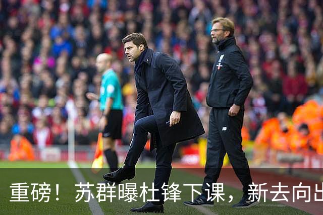 重磅！苏群曝杜锋下课，新去向出炉，球迷喊话杨鸣接手，能行吗？